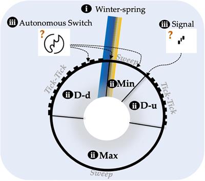 The Flowering Season-Meter at FLOWERING LOCUS C Across Life Histories in Crucifers